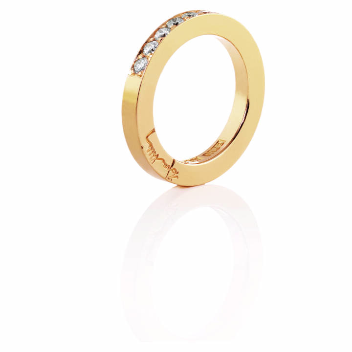 7 Stars & Signature Ring Guld 19.00 mm