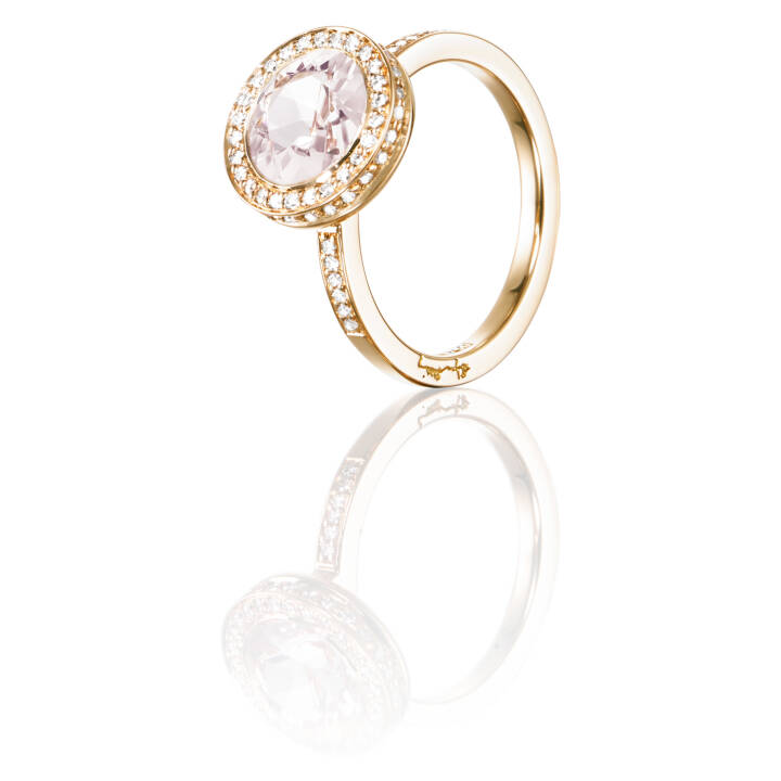 Halo - Morganite Ring Guld 15.00 mm