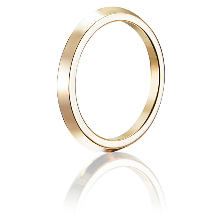 Paramour Thin Ring Guld 15.50 mm