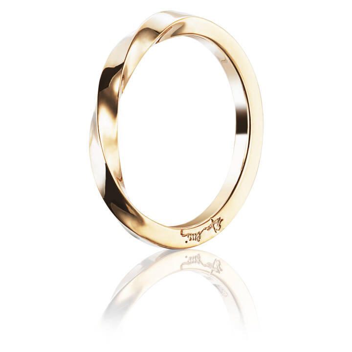 Viking Plain Ring Guld 15.50 mm