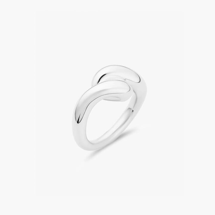 Breeze ring 15,5 Silver