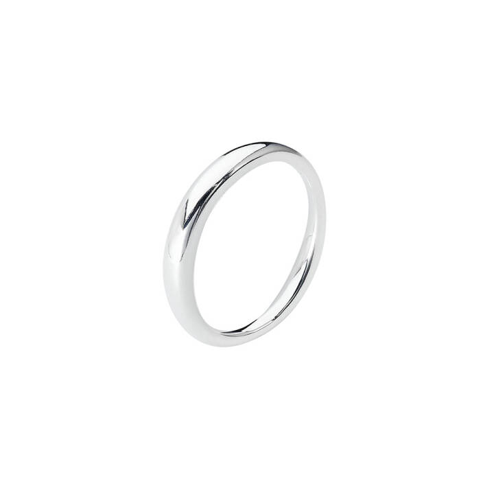 Les Amis ring 15,5 Silver