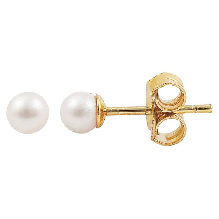 Pearl earsticker örhänge Guld