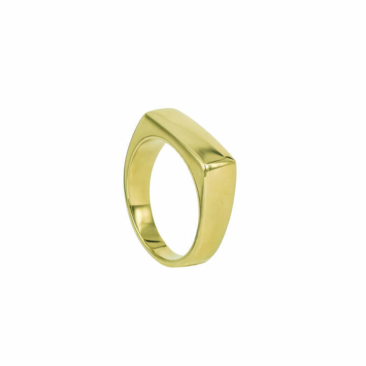 TIM Guld ring XS