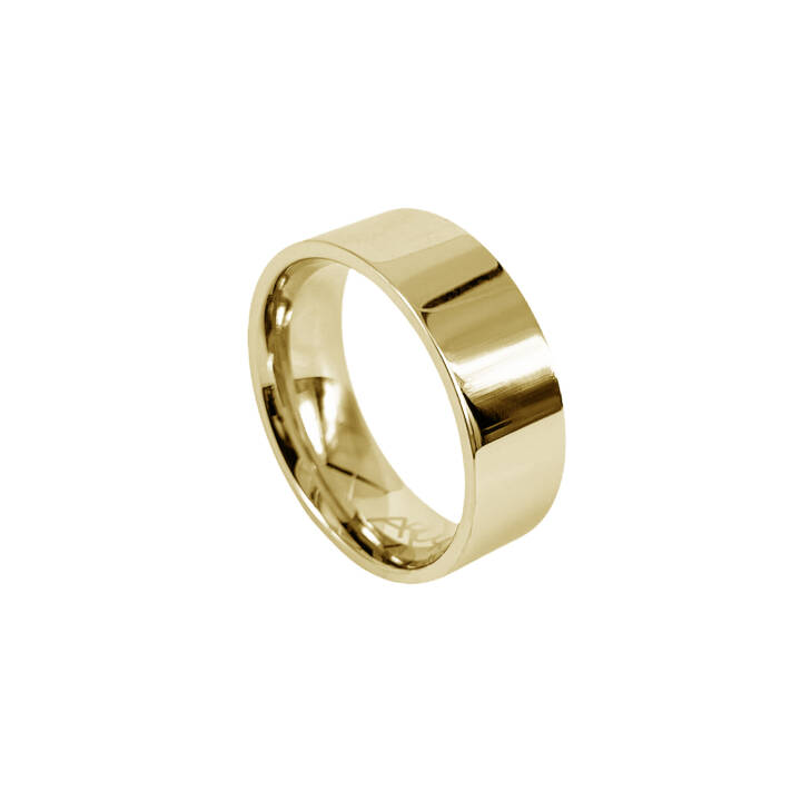 WALTER Blankt Guld ring L