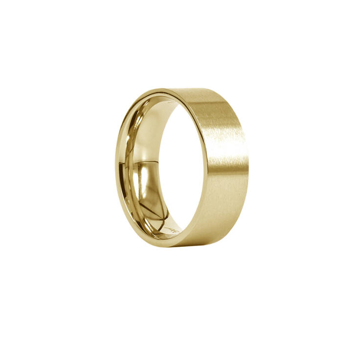 WALTER Matt Guld ring XS