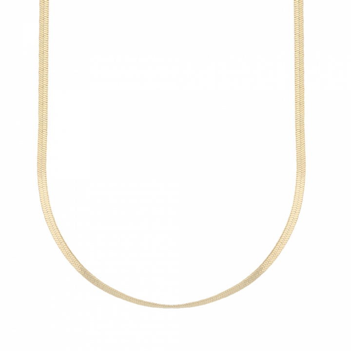 Paris chain Halsband 45 Guld