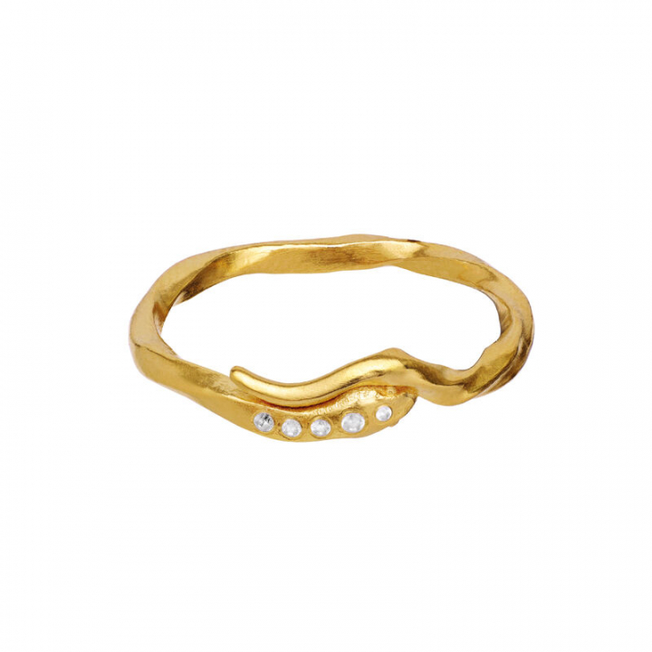 Hera Ring Guld 51