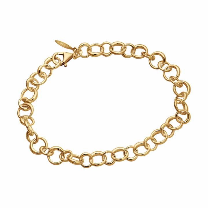 Les Amis drop chain Armband Guld