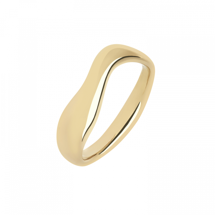 Vayu Ring Goldplated Silver 48